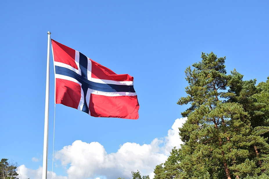 Det norsk flagg